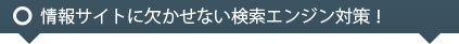 �ۡ���ڡ�������/SEO�к�/���/������ҥ����С��֥졼��:SEO�к���SEM